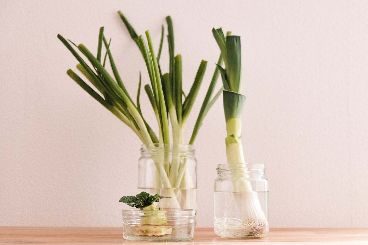 Regrowing leek, pak choi, scallions from cuttings