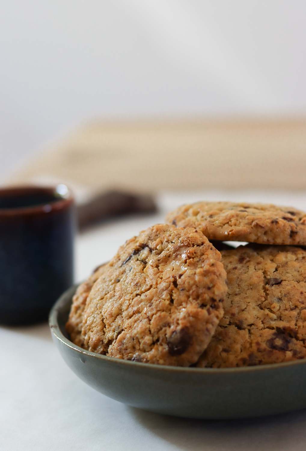 Spent grain chocolate chip cookies